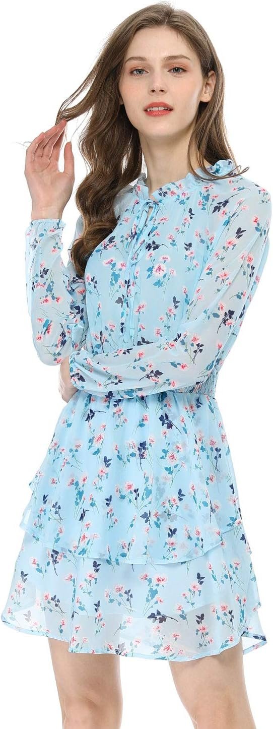 Saonta  K Women's Ruffled Floral Smocked Waist Layered Tiered Chiffon Dress