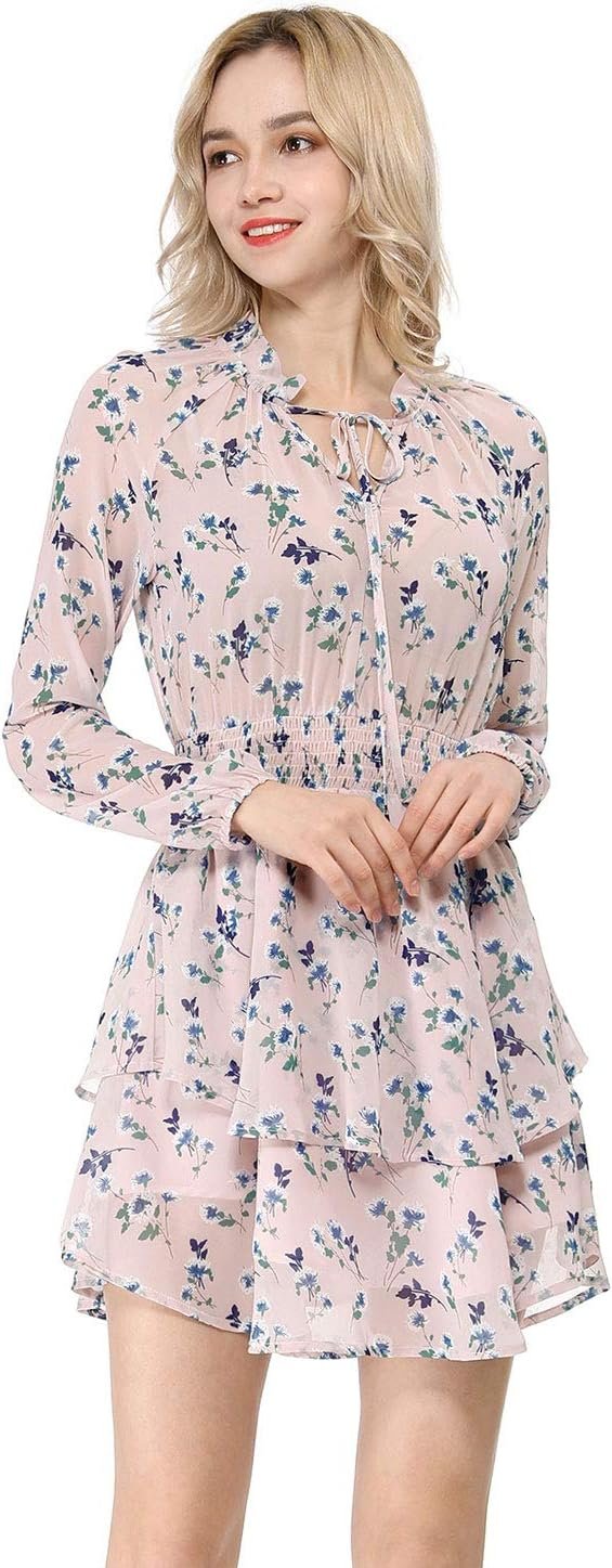 Saonta  K Women's Ruffled Floral Smocked Waist Layered Tiered Chiffon Dress