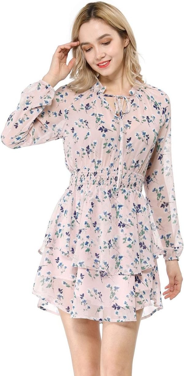 Saonta  K Women's Ruffled Floral Smocked Waist Layered Tiered Chiffon Dress