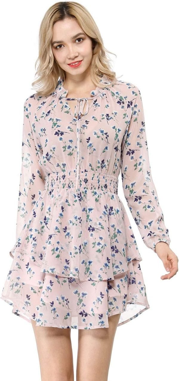 Saonta  K Women's Ruffled Floral Smocked Waist Layered Tiered Chiffon Dress