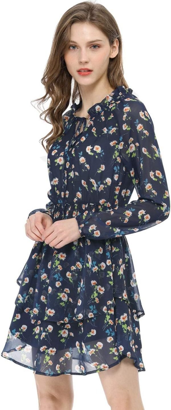 Saonta  K Women's Ruffled Floral Smocked Waist Layered Tiered Chiffon Dress