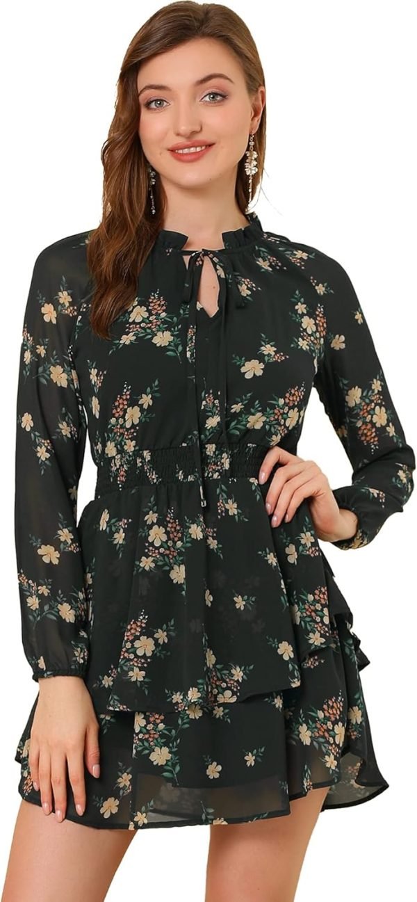 Saonta  K Women's Ruffled Floral Smocked Waist Layered Tiered Chiffon Dress