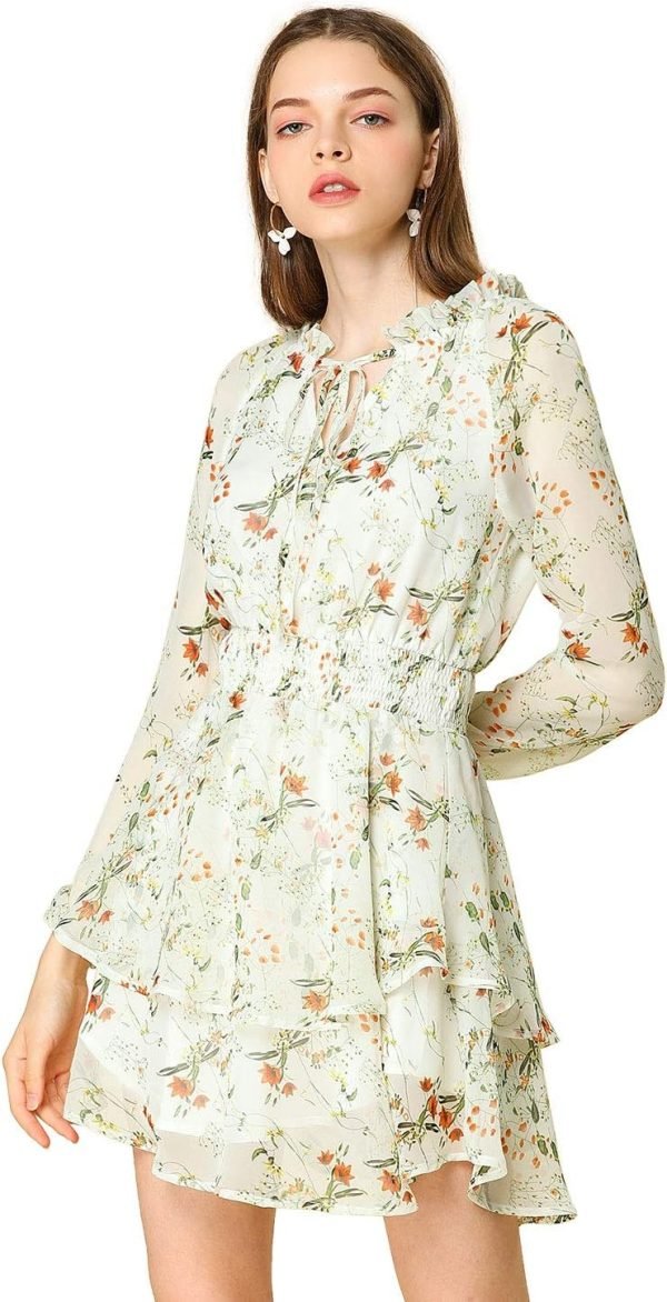Saonta  K Women's Ruffled Floral Smocked Waist Layered Tiered Chiffon Dress
