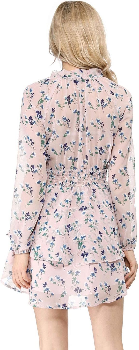 Saonta  K Women's Ruffled Floral Smocked Waist Layered Tiered Chiffon Dress