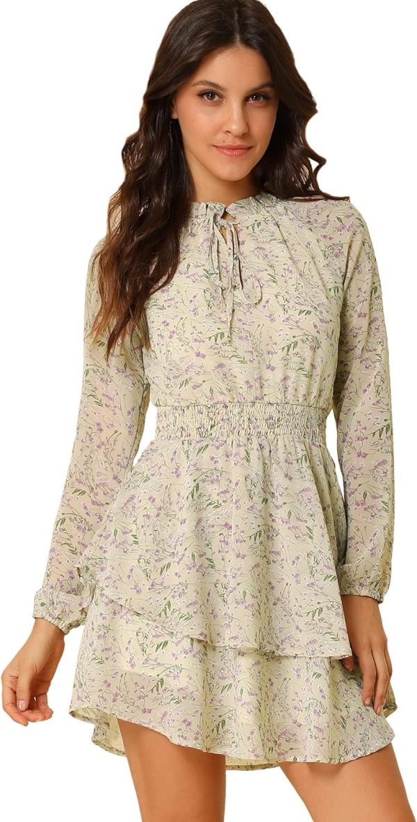 Saonta  K Women's Ruffled Floral Smocked Waist Layered Tiered Chiffon Dress