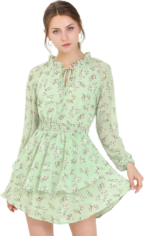 Saonta  K Women's Ruffled Floral Smocked Waist Layered Tiered Chiffon Dress